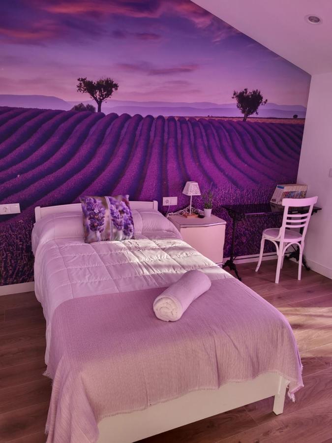 La Pedrosa Casa Rural Camarzana de Tera Zewnętrze zdjęcie